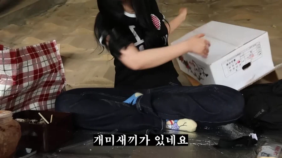 피크닉 나가서 닭 뜯는 유튜버.jpg_37.webp