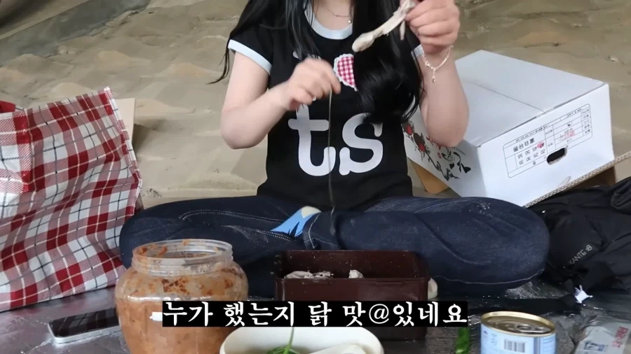피크닉 나가서 닭 뜯는 유튜버.jpg_38.webp