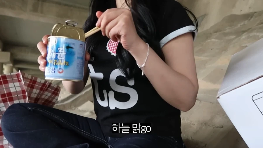 피크닉 나가서 닭 뜯는 유튜버.jpg_46.webp