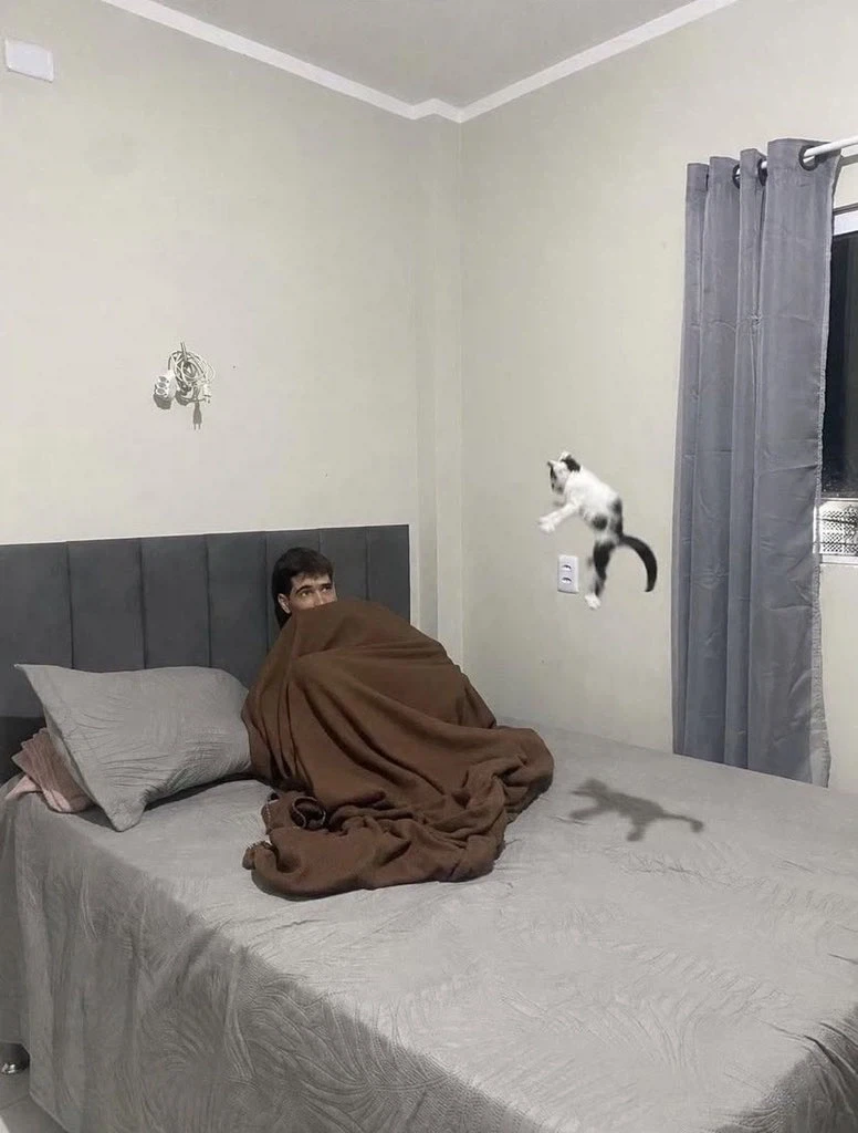 집사ㅅㄲ 죽이려고 뛰어가는 고양이_1.webp