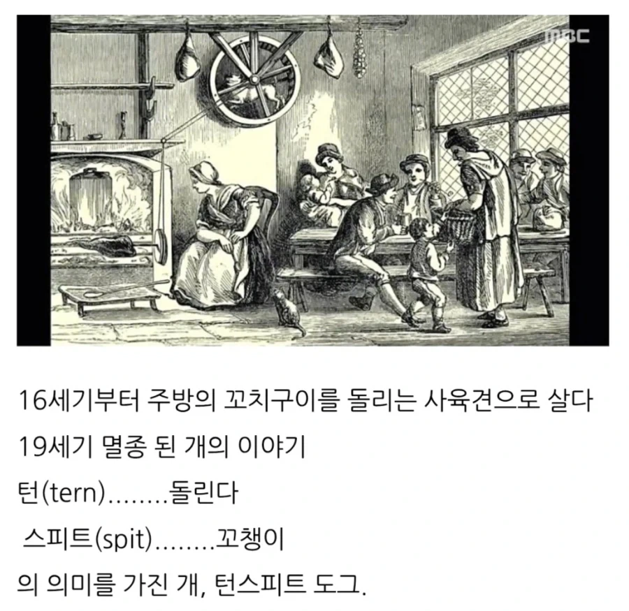 만약 도로롱이 과거 영국에서 존재했었다면?_2.webp
