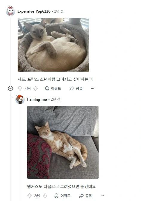 사람이름을 가진 고양이들을 자랑하는 집사들.jpg_5.png