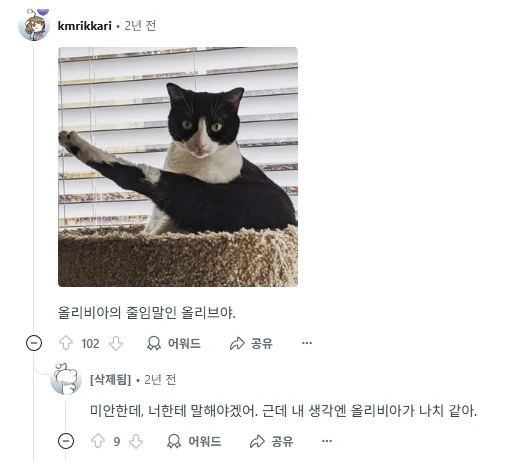 사람이름을 가진 고양이들을 자랑하는 집사들.jpg_6.png