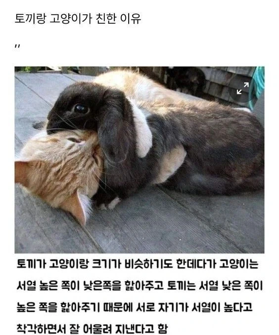 착각물이된 우정_1.webp