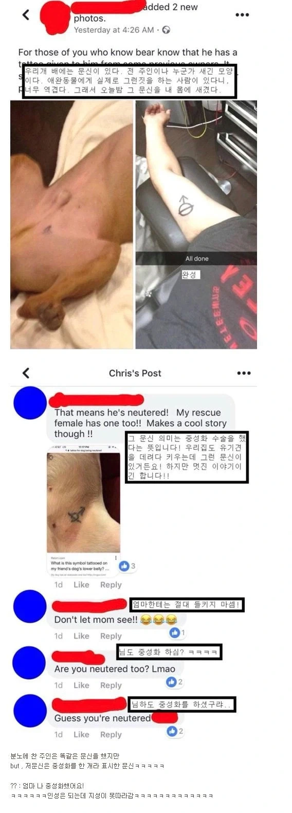 입양한 유기견 배에 있는 문신.jpg_1.webp