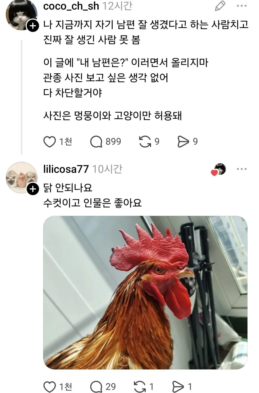 남편 잘생겼다는 사람치고 잘생긴 사람 못 봄_1.webp