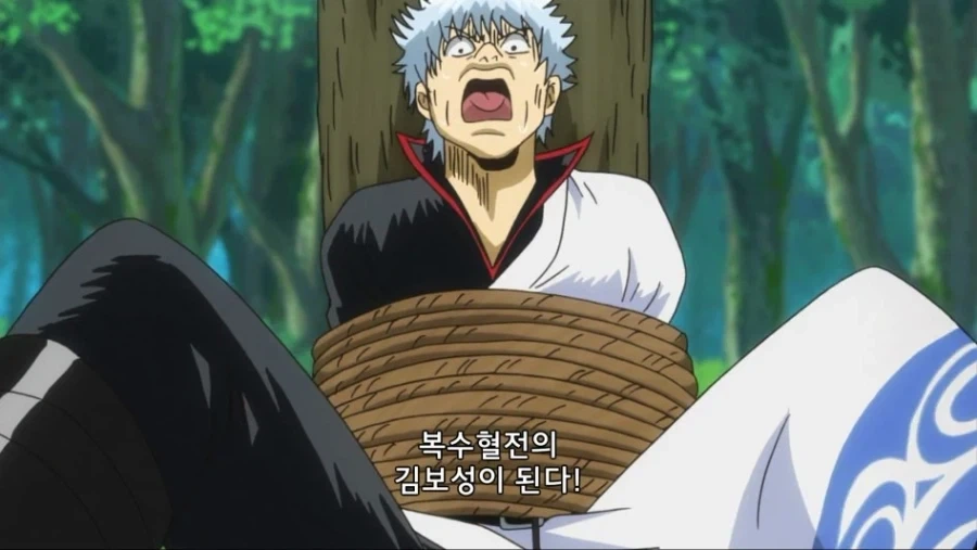 애니플러스가 의외로 잘 하는 거_8.webp