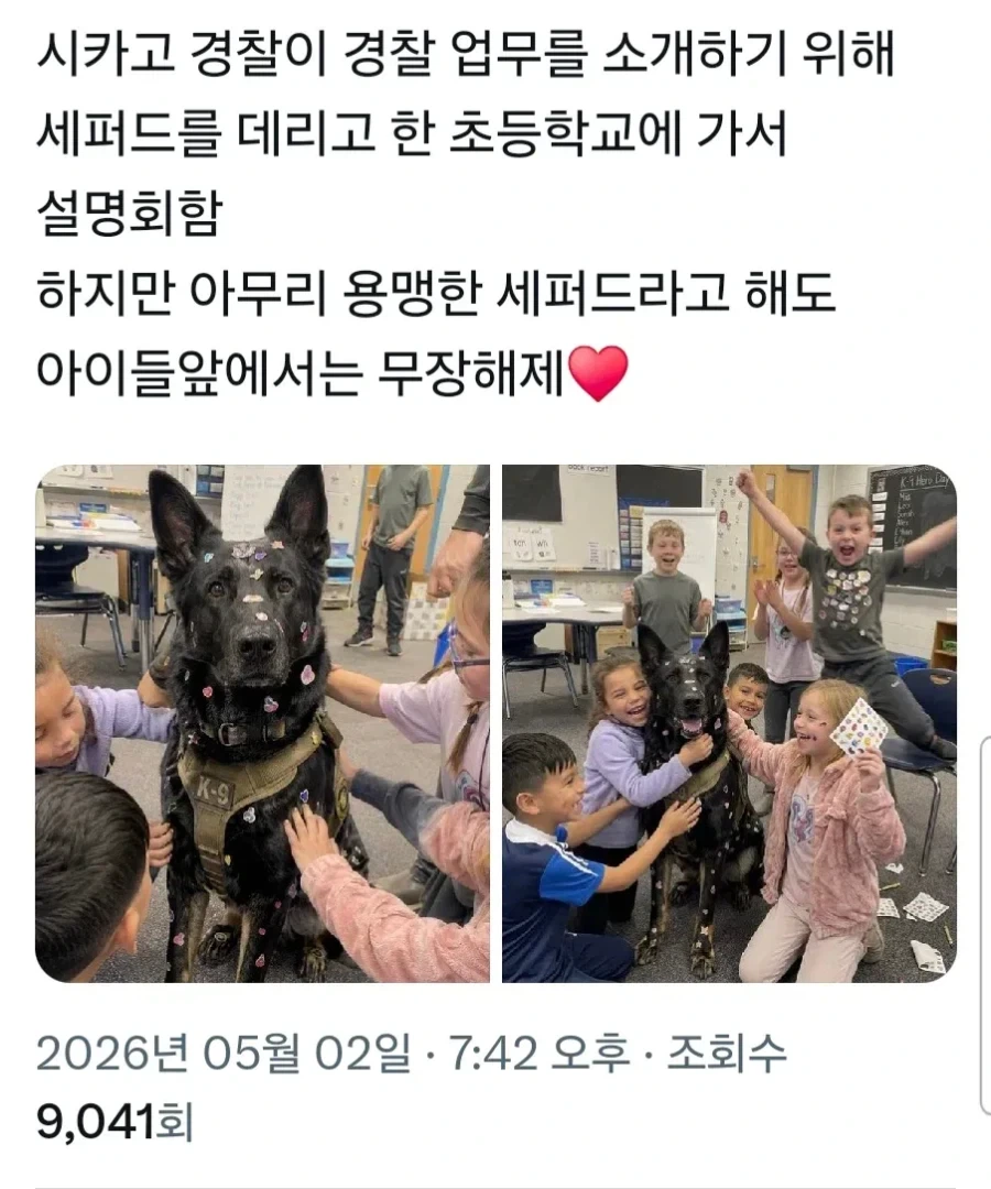 초등학교에 간 경찰견_1.webp