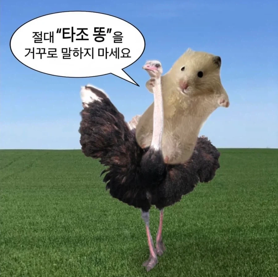 절대로 거꾸로 말하면 안되는 단어_1.webp