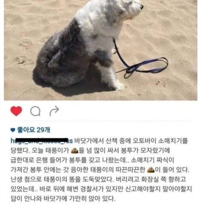 은행나오다 오투바이 소매치기 당한사람_1.webp
