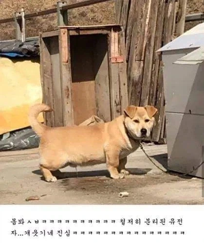 철저하게 분업하는 유전자_1.webp