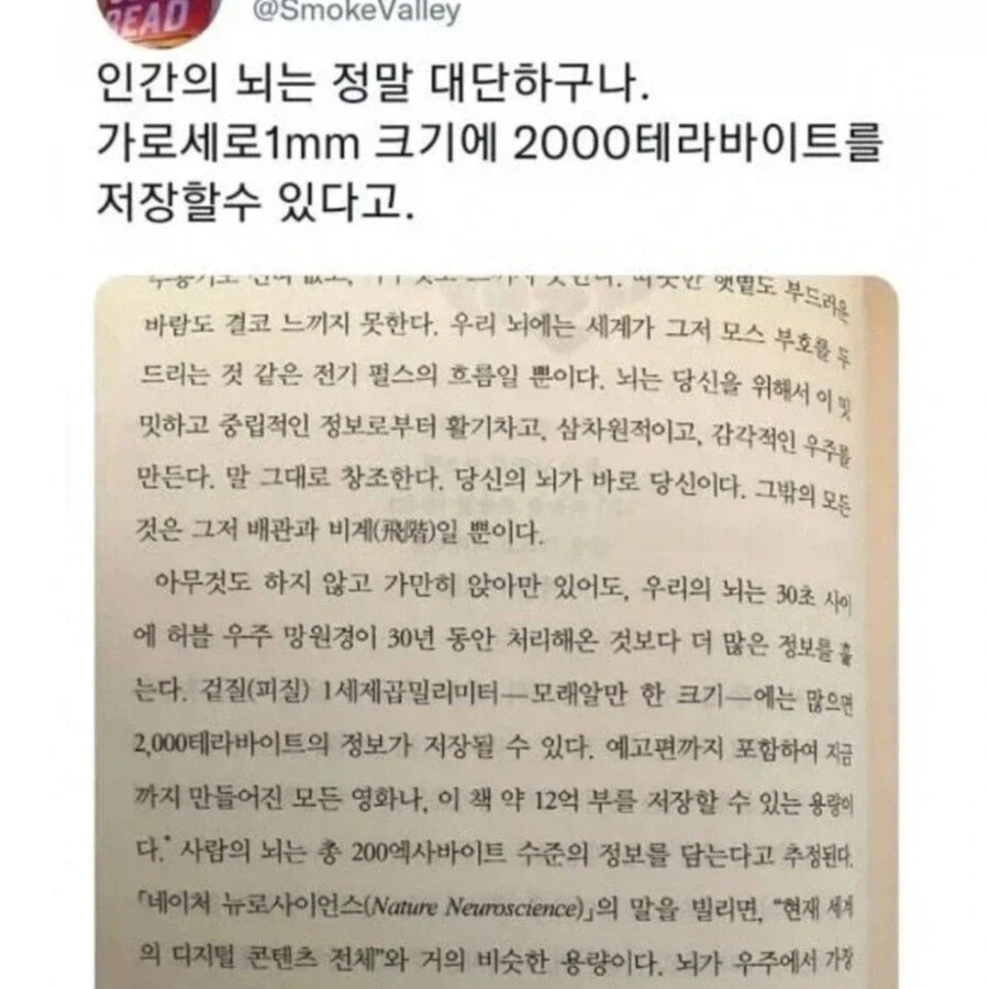 인간의 두뇌는 대단함_1.webp