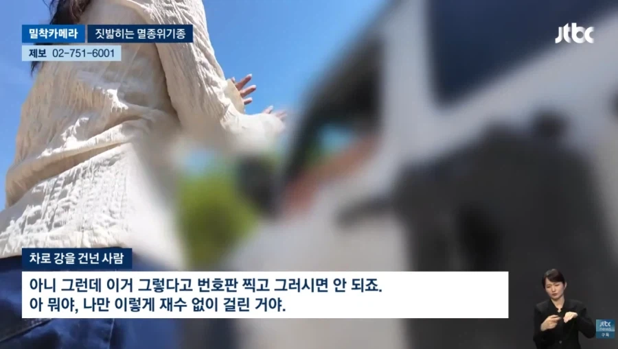 오프로드 동호회에 밟혀 죽는 멸종 위기종_8.webp