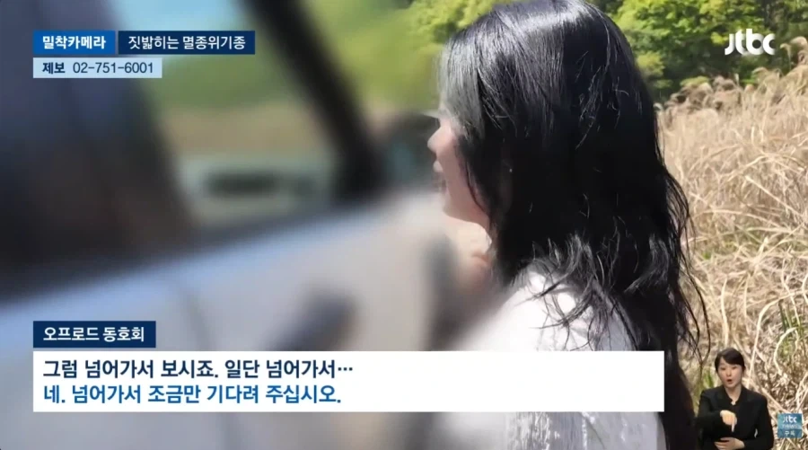오프로드 동호회에 밟혀 죽는 멸종 위기종_10.webp
