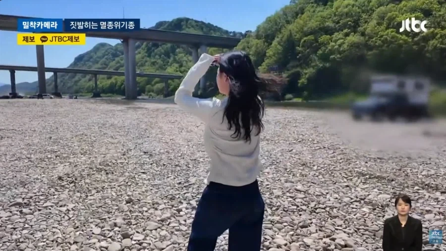 오프로드 동호회에 밟혀 죽는 멸종 위기종_11.webp