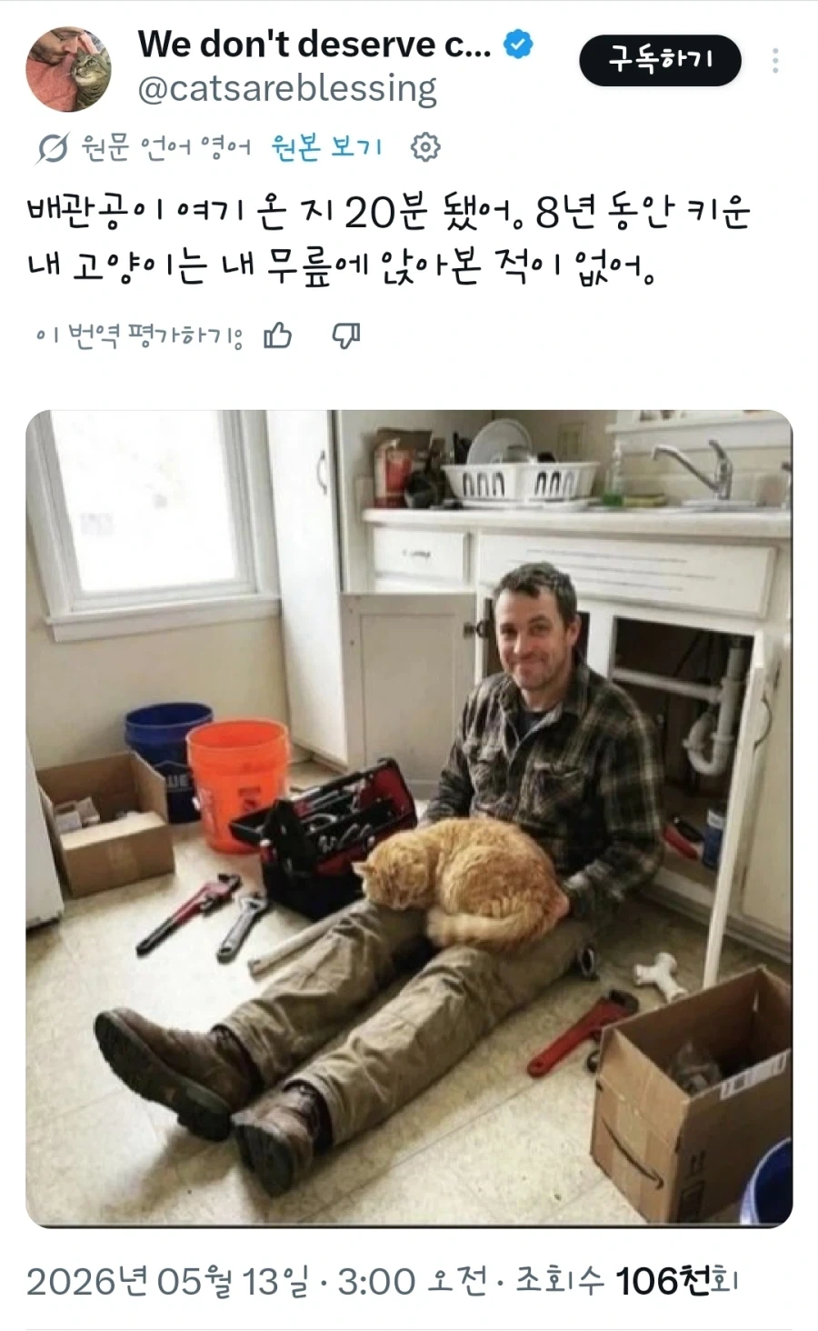 배관공 살인 사건_1.webp