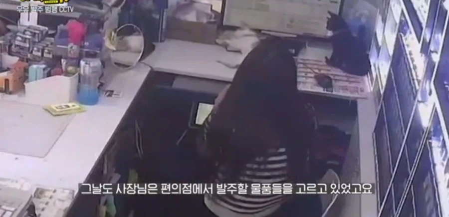 ??? : 고양이가 했어요_3.webp