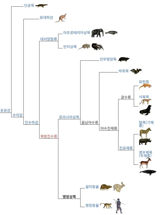 동물실험할 때 쥐나 토끼를 사용하는 이유_1.webp