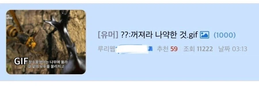 이해하면 무서운 사진.jpg_1.webp