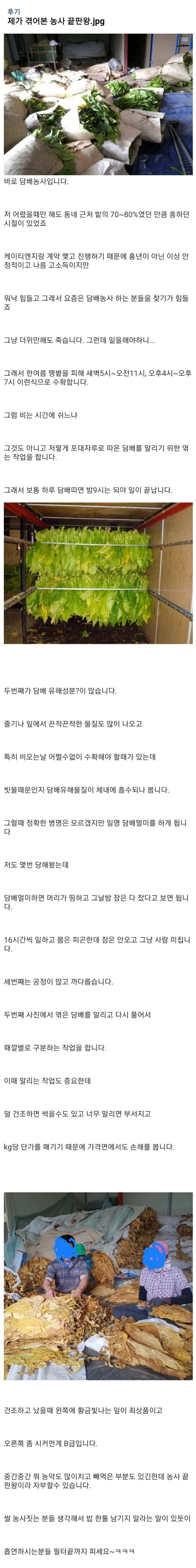 농사 난이도 끝판왕 jpg._1.webp