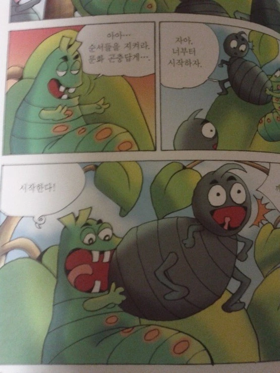 2.jpg