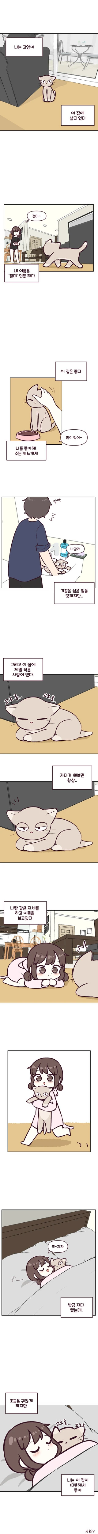 manga_705201_001.webp