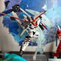 HG 1/144 드라고나 스페셜 코팅 + 디자드 전시 사진