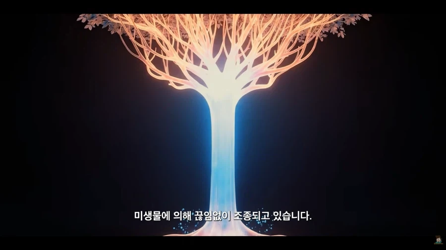 가족들이 닮아가는 생물적 이유_56.webp