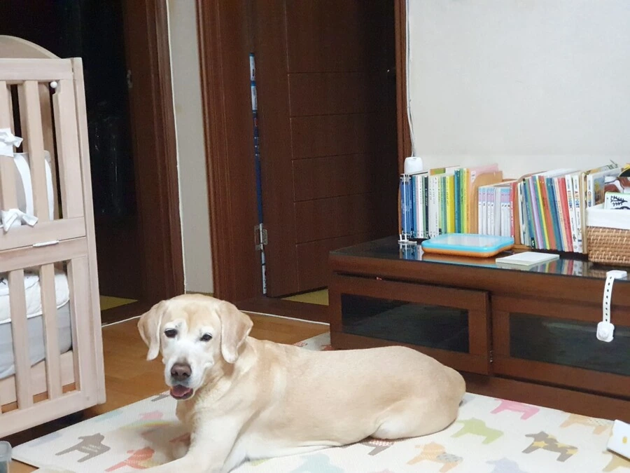 개임 추천 해줘._1.jpg
