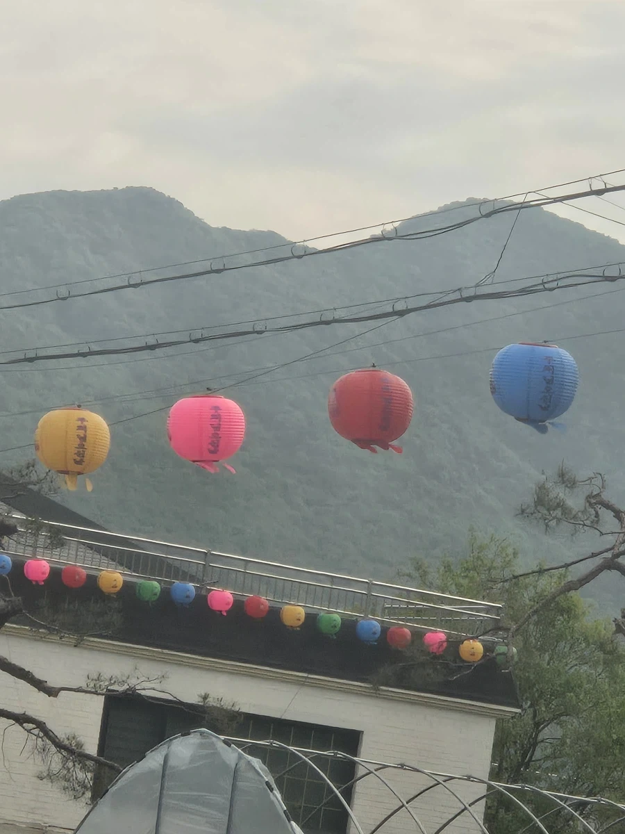 붓다 더 락!_1.webp