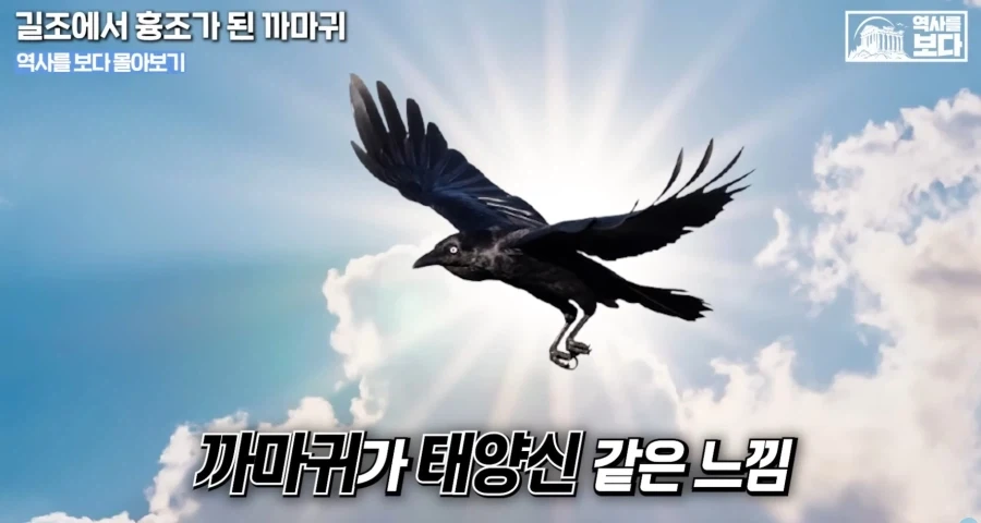 삼족오의 충격적 정체.jpg_13.webp