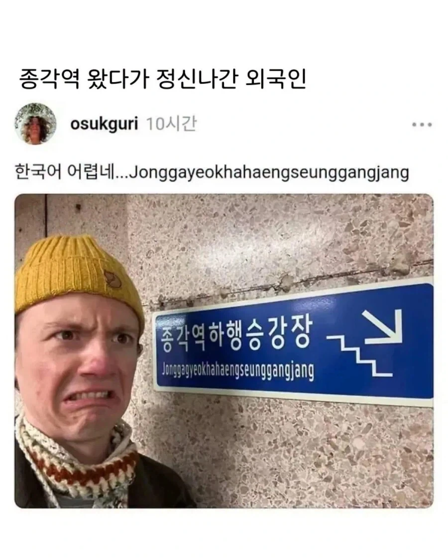종각역 갔다가 정신 나간 외국인_1.webp