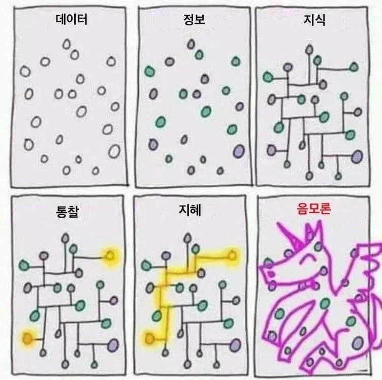데이터와 정보의 차이.jpg_1.webp