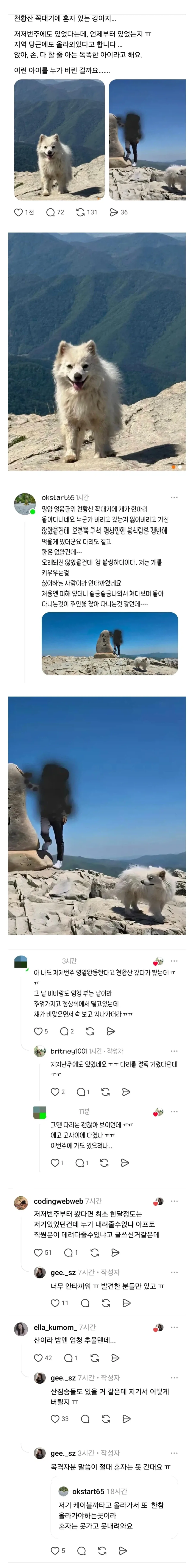 천황산 꼭대기에 유기된 강아지_1.webp