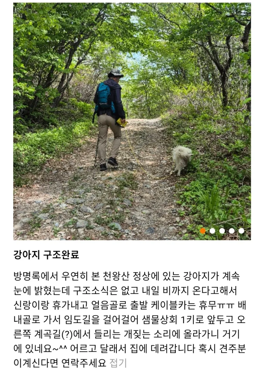 천황산 꼭대기에 유기된 강아지_2.webp