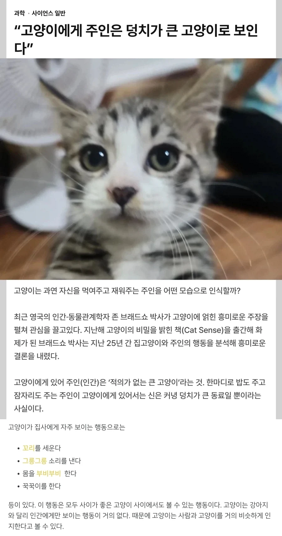 고양이는 집사를 큰고양이라고 인식한다.jpg_1.webp