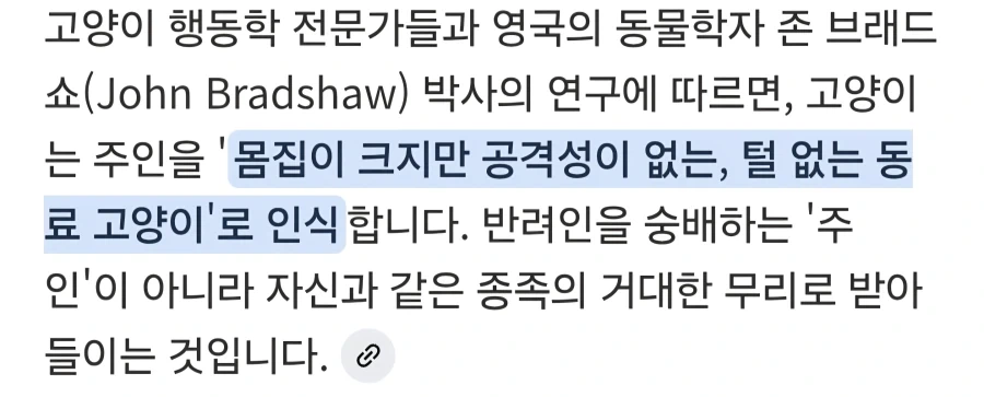 고양이는 집사를 큰고양이라고 인식한다.jpg_2.webp