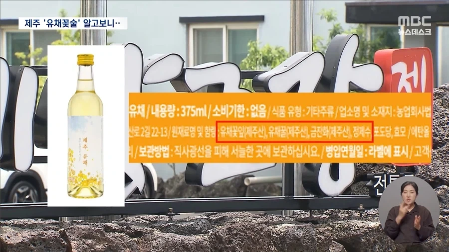 제주 특산품 유채꽃술의 정체_2.webp