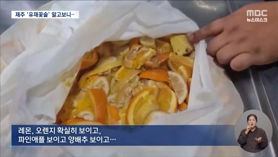 제주 특산품 유채꽃술의 정체_3.webp