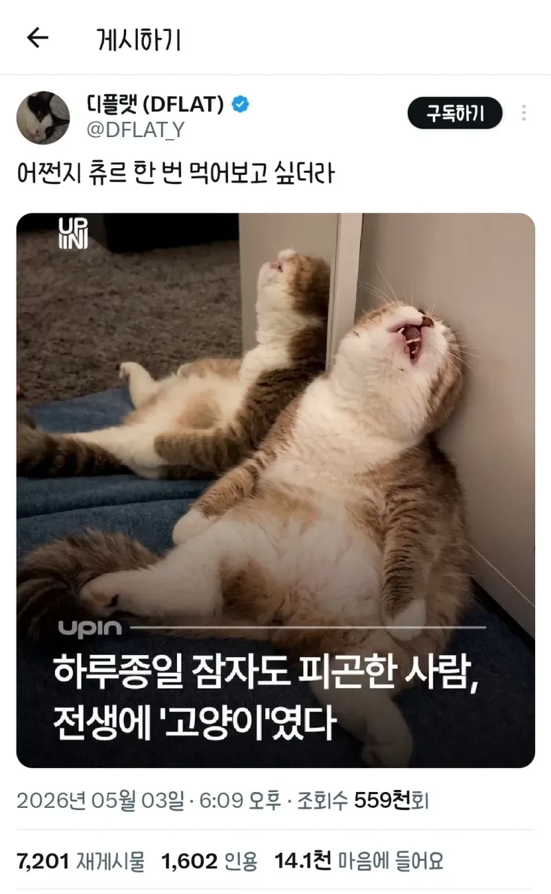 하루종일 잠자도 피곤한 사람의 전생?_1.webp