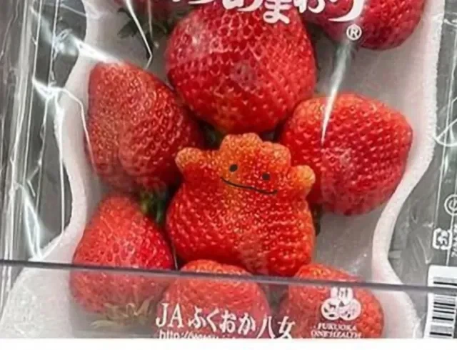 오토코노코가 되기로 함_1.webp