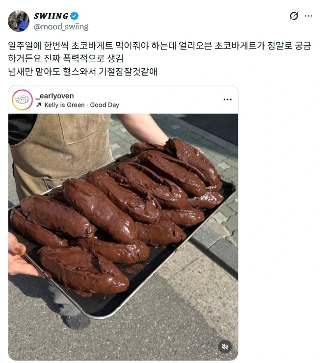 폭력적으로 생긴 초코바게트.jpg_1.webp