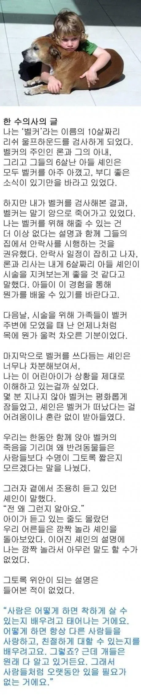 반려동물 수명이 짧은.eu_1.webp
