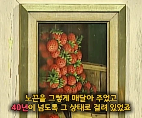 40년 동안 잘못된 방향으로 걸어두었던 명화.jpg_8.webp