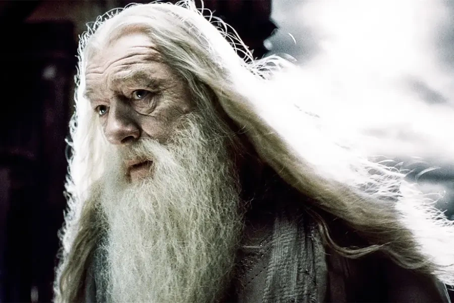 해리포터) 덤블도어의 위상이 높을수록 떡상 하는 캐릭터_3.webp