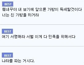 라쿤 이완용으로 키울 수 있음?.jpg_2.webp