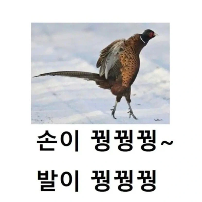 와 폭염 지나니까 날씨 진짜_1.webp