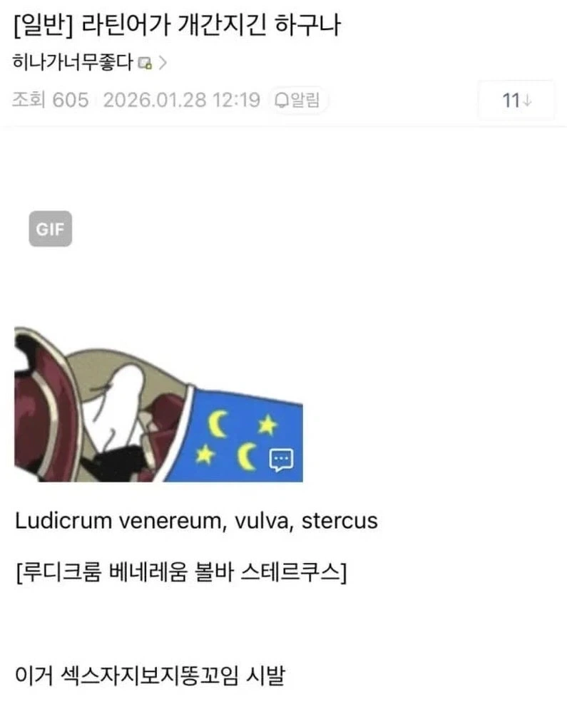 라틴어로 말하면 개간지나는 이유_1.webp