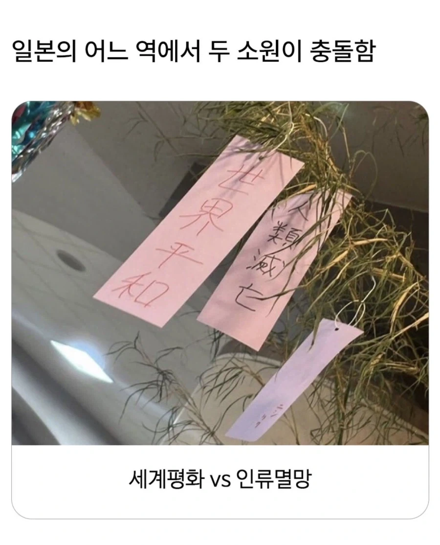 충돌하는 두 소원_1.webp