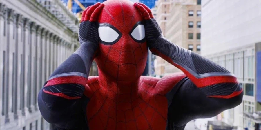 MCU)